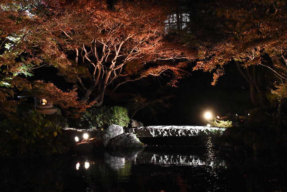 池エリアのライトアップ