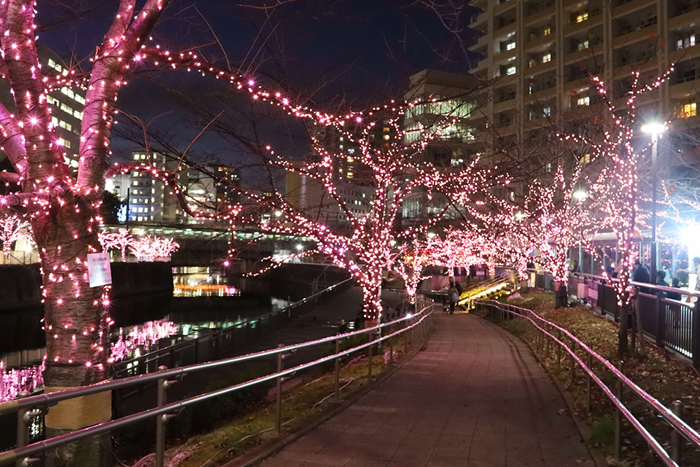 水辺広場のイルミネーション