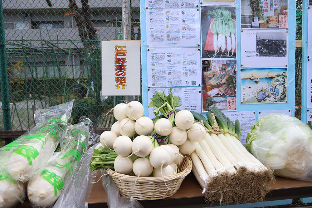 販売された江戸野菜