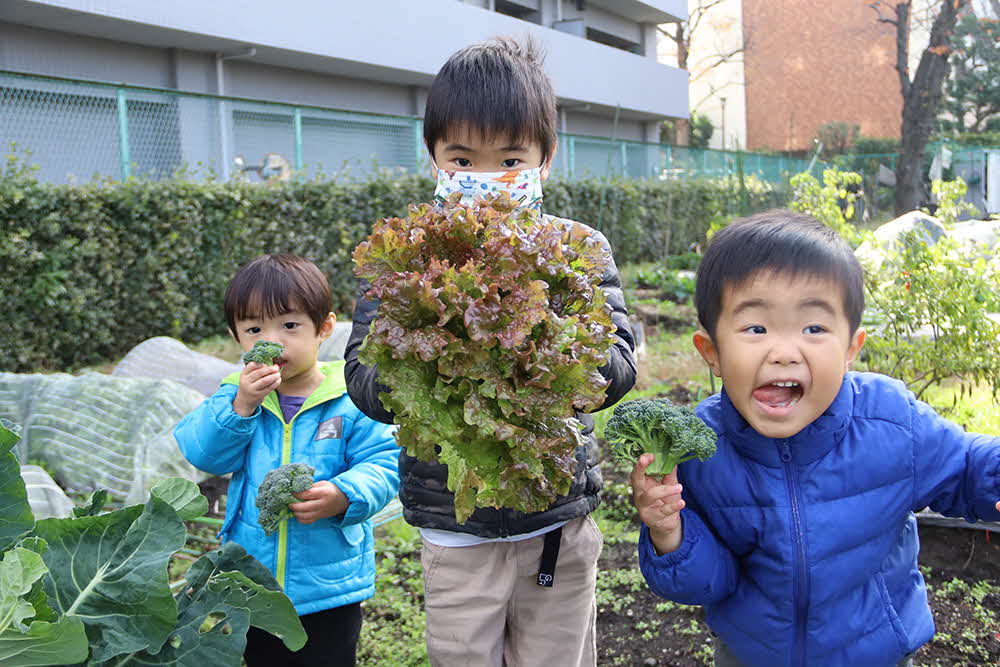 収穫した野菜を持つ子ども