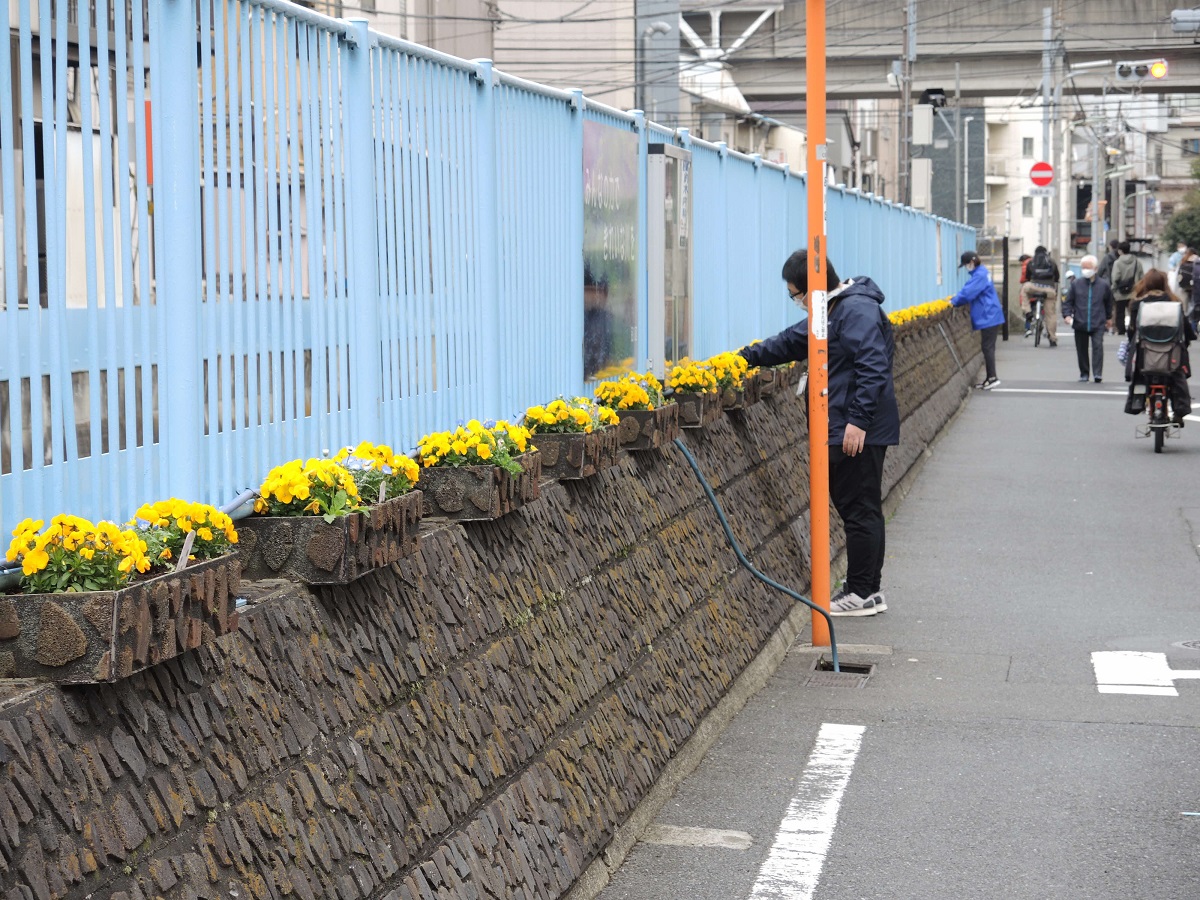 側道に植えられた花ポッド