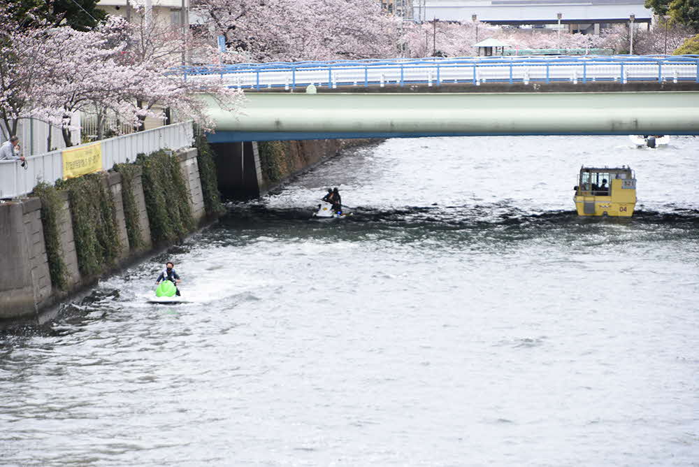 両岸に桜が咲く目黒川を進む水上バイク