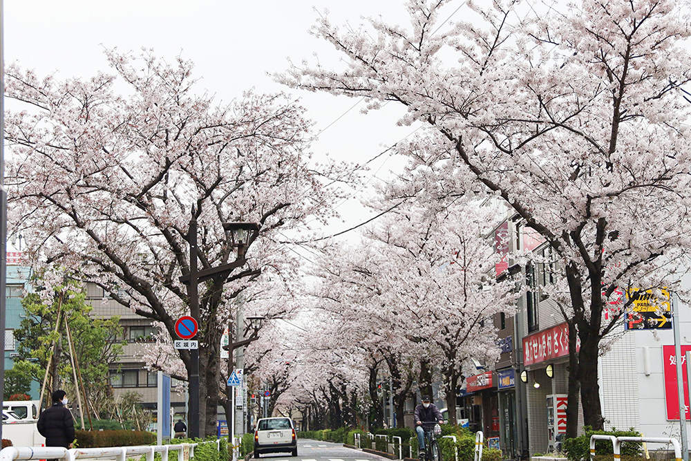 立会道路