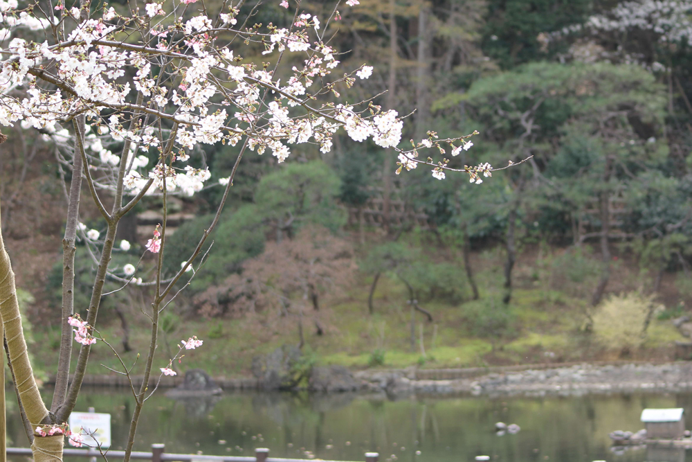 戸越公園