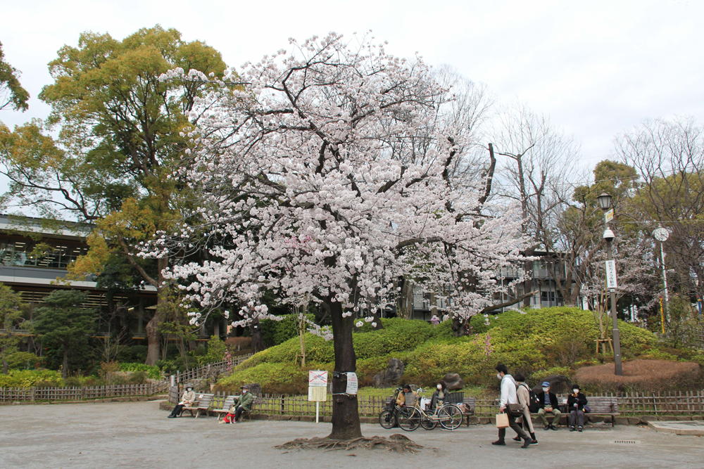 戸越公園