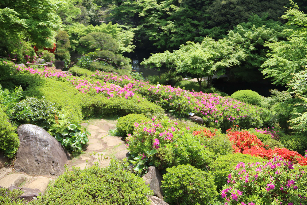 池田山公園　上から見た風景