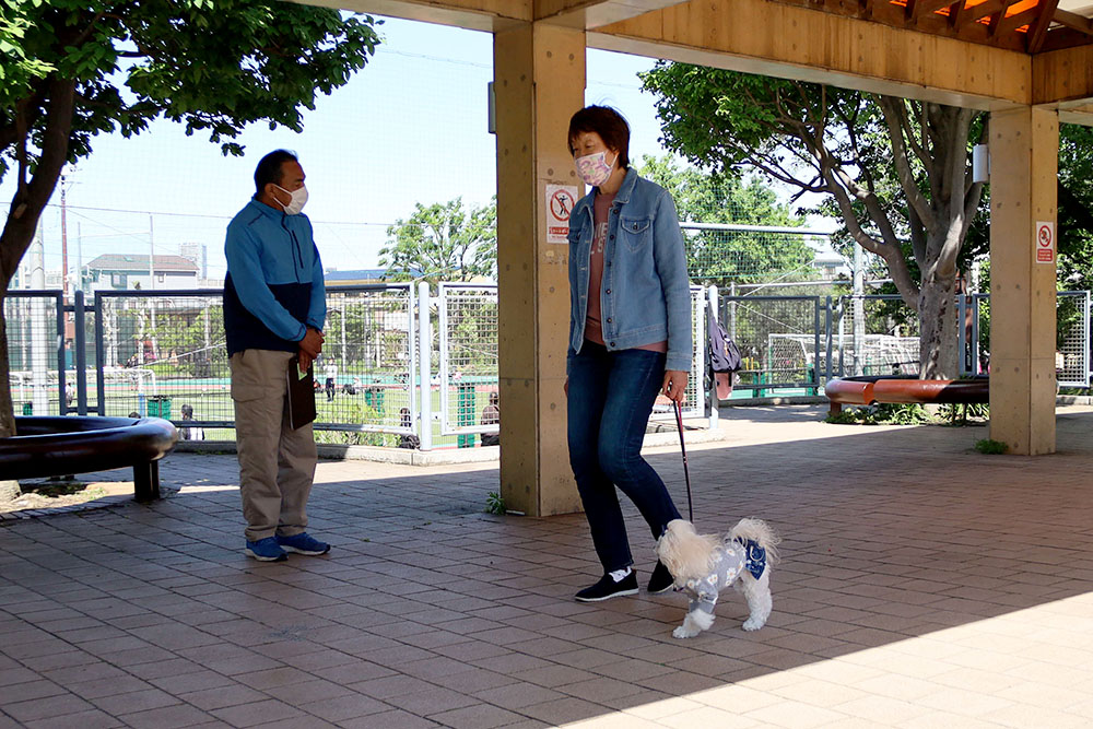 リードの引き方を学ぶ飼い主