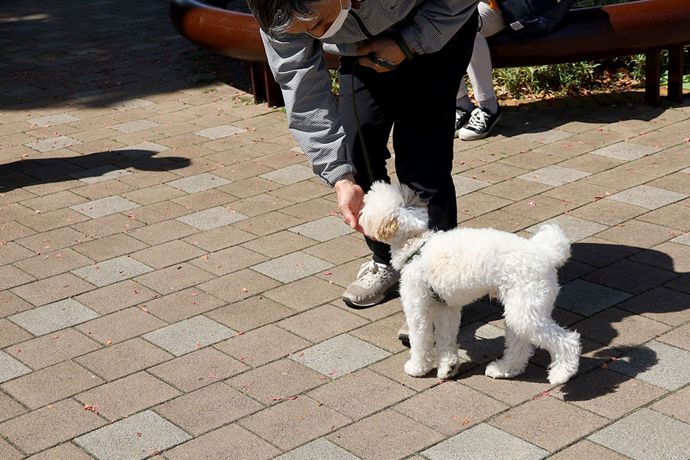 おやつの使い方を学ぶ飼い主