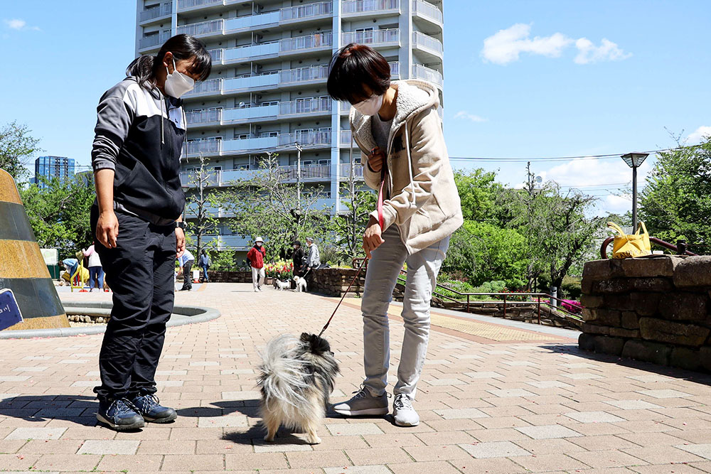 リードの引き方を学ぶ飼い主