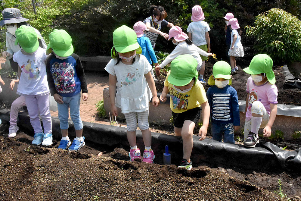 畑に入る園児