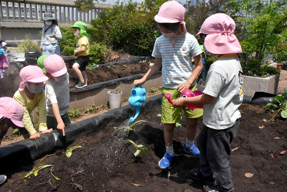 水やりの指示を出す園児