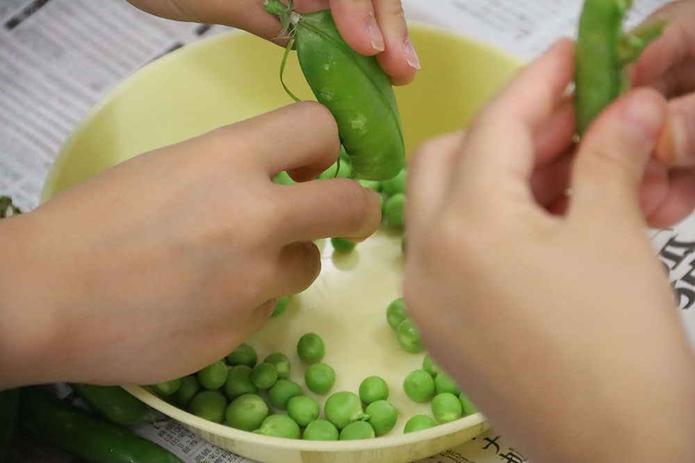 さやから豆のを取り出す