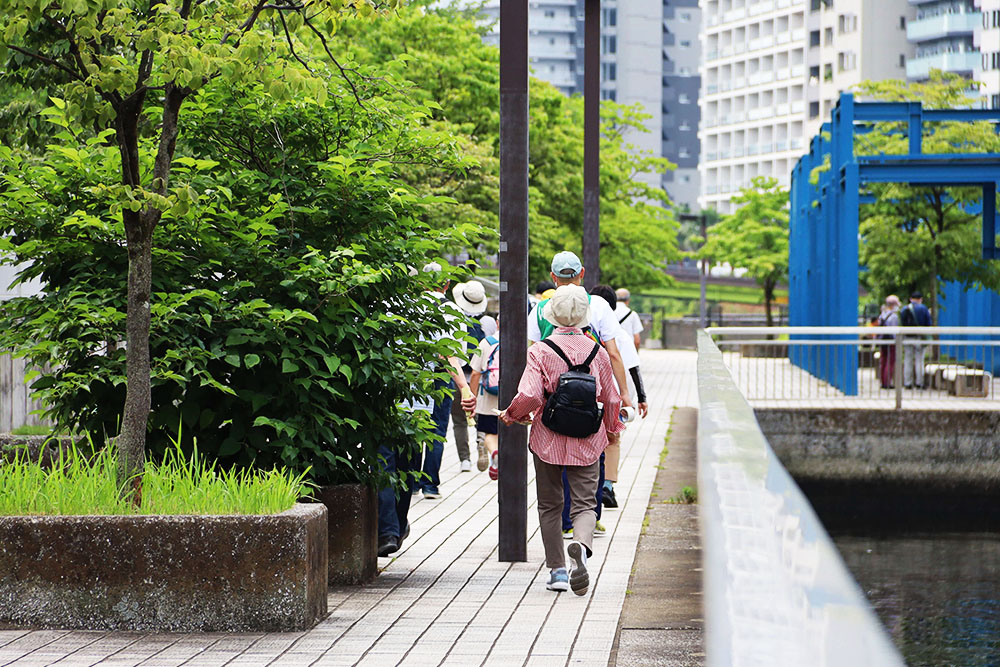 高浜運河沿いを歩く参加者