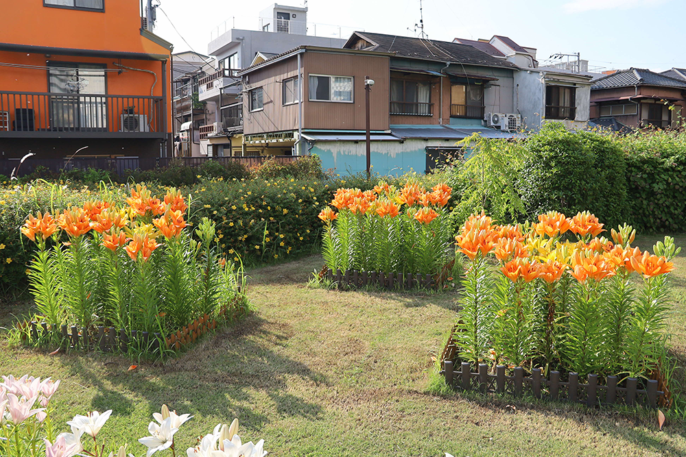 品川の「品」の字の花壇