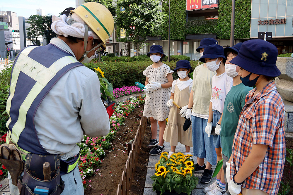 業者の方より植え方を習う