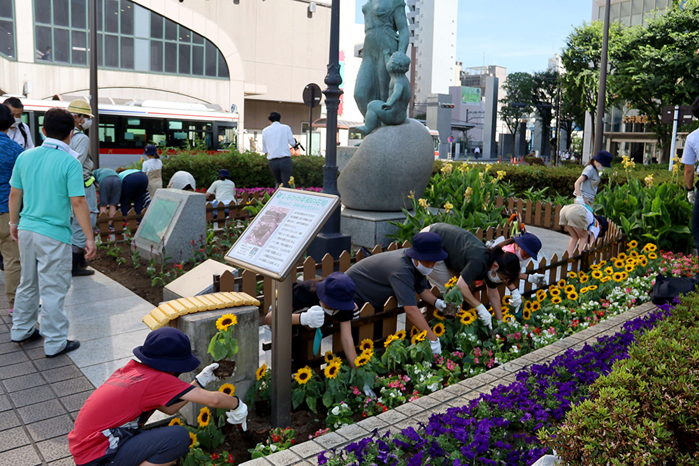 ひまわりを植える作業中