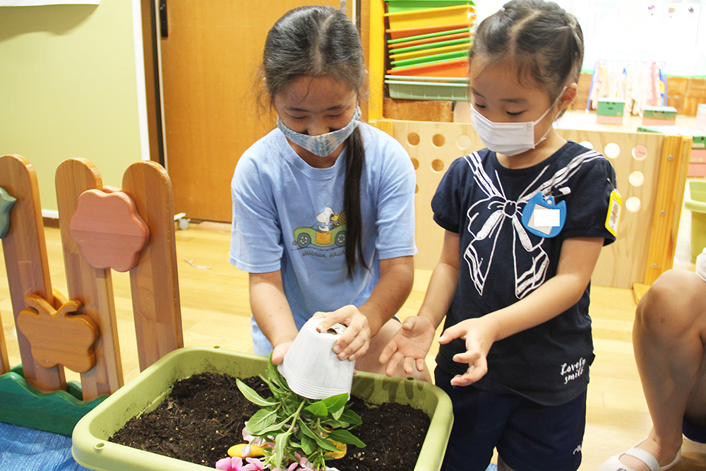 花の苗を協力して植える様子