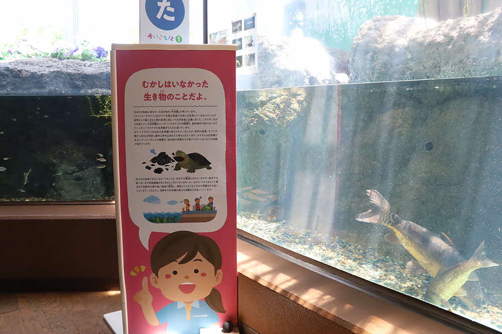 教えてスポット 解説