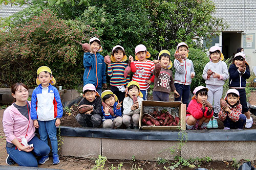 収穫したサツマイモとにじ組の園児たち