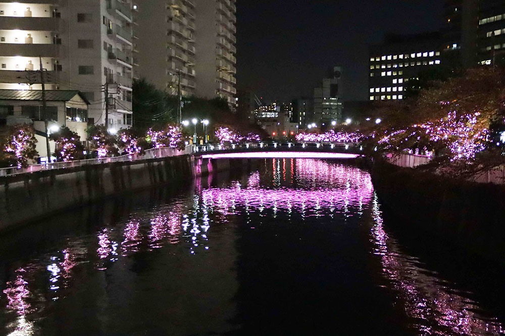 イルミネーションとライトアップされた橋