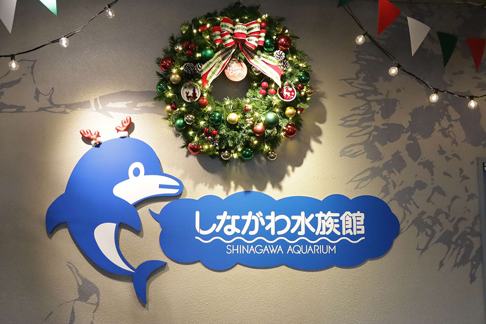 館内入り口のクリスマスリース