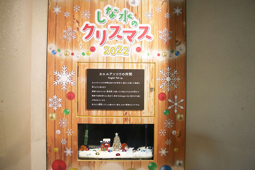 館内入り口付近のクリスマス水槽