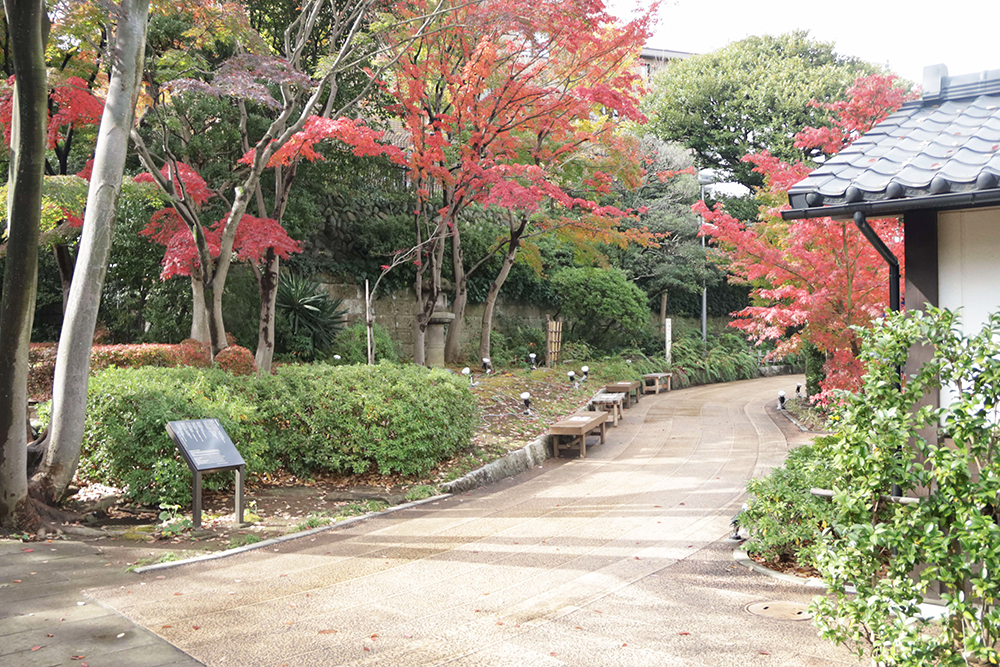 昼間の池田山公園