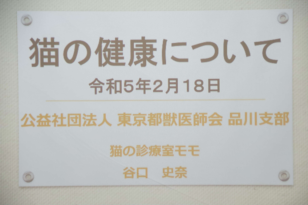 タイトルが映し出されたスクリーン
