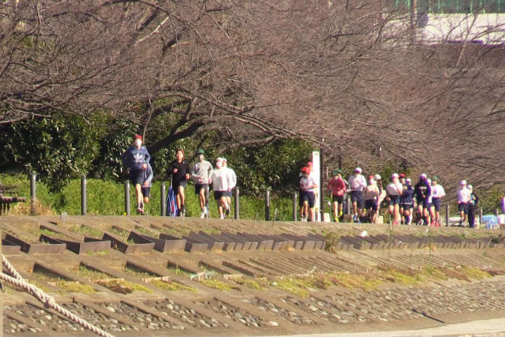 花海道をランニング