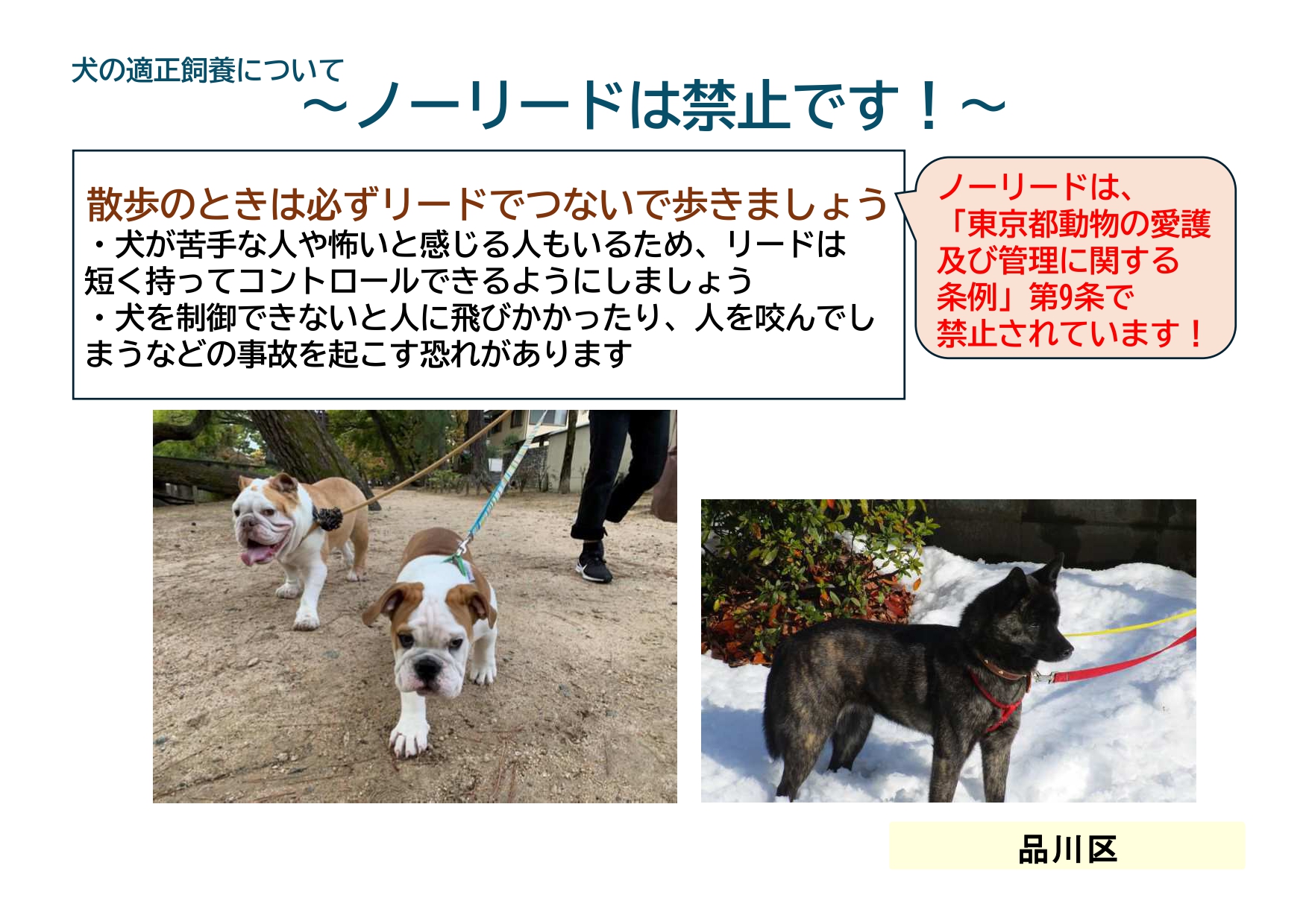 ノーリード