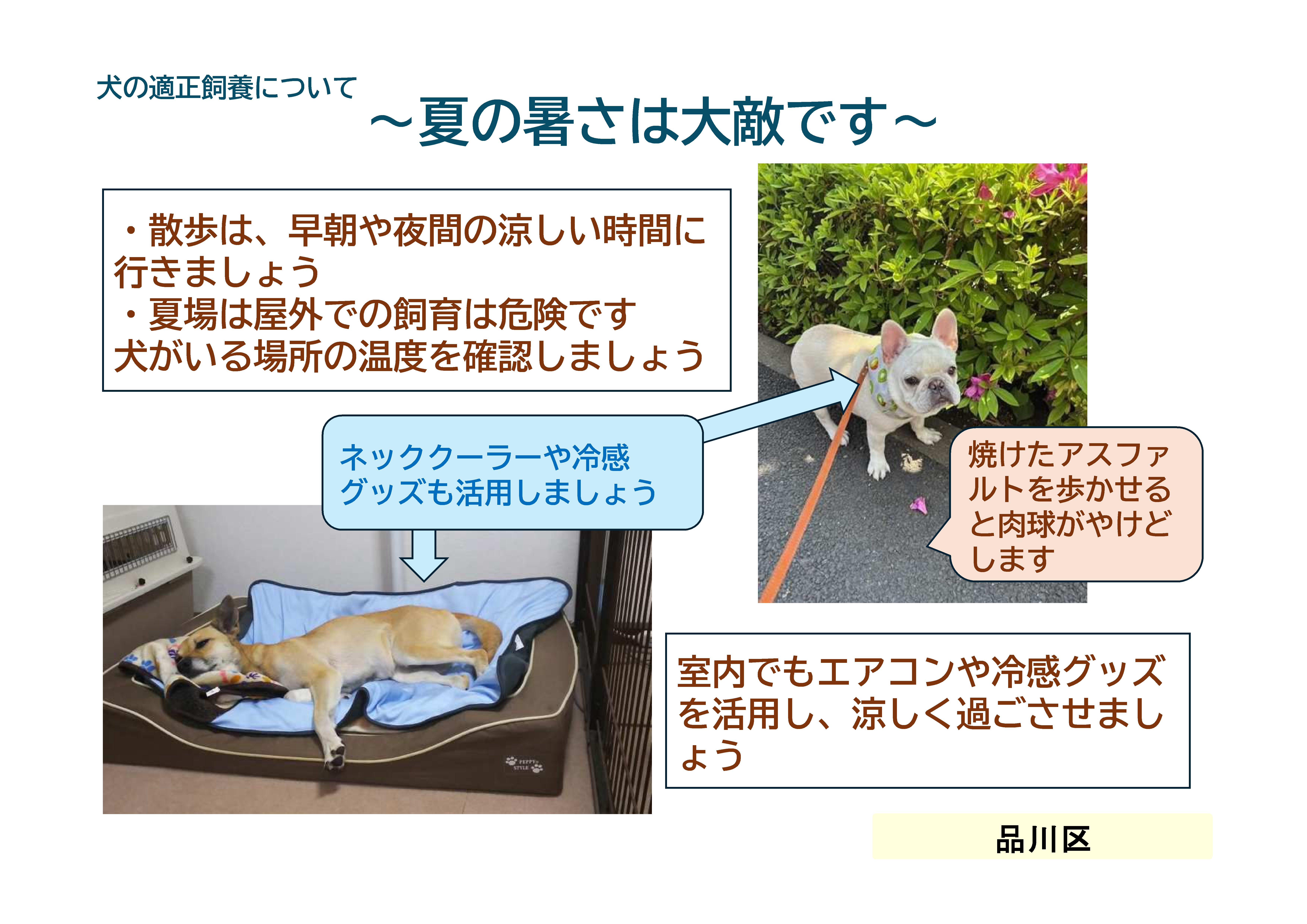 暑さ対策