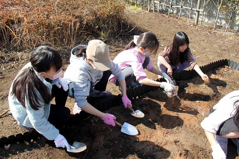 球根を植える小学生