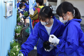 花を植えている様子