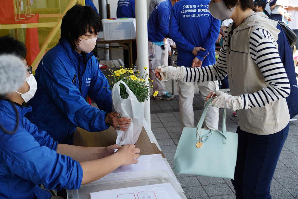 花苗配布