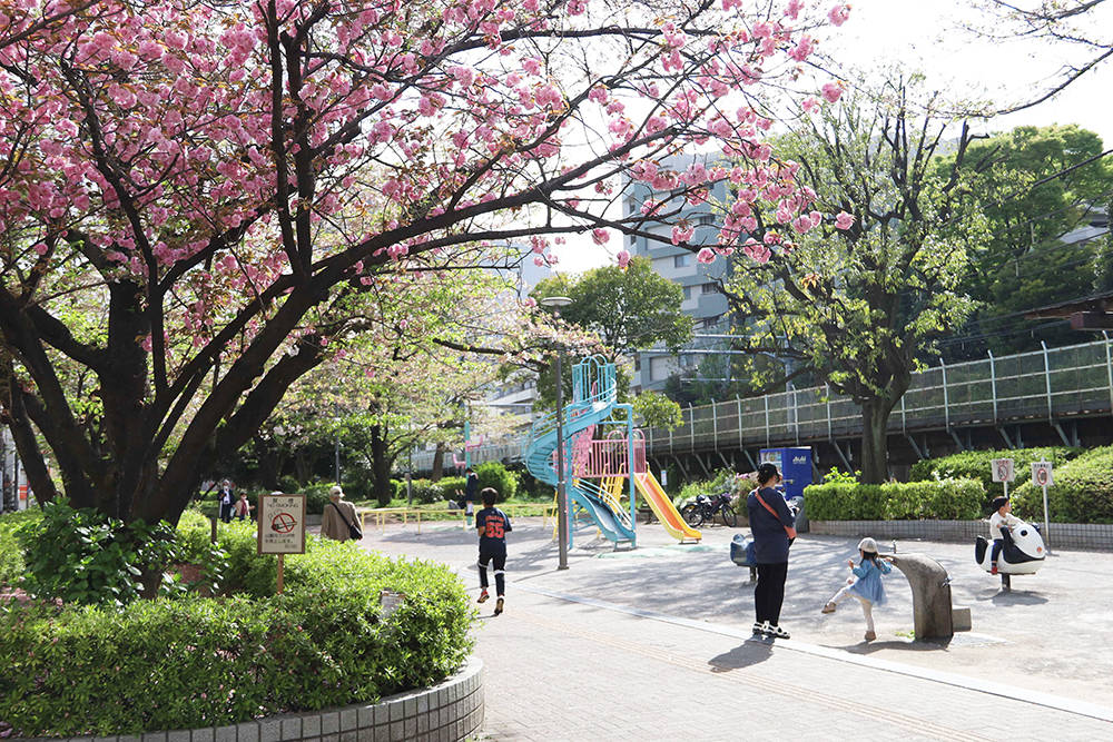 大井水神公園の八重桜