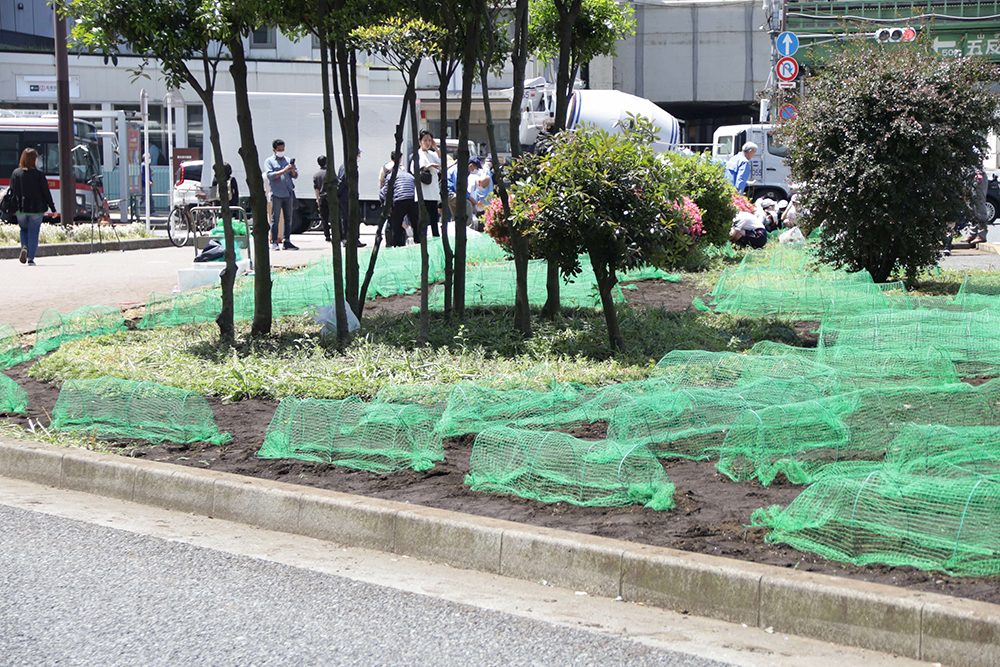 作業が終わった花壇