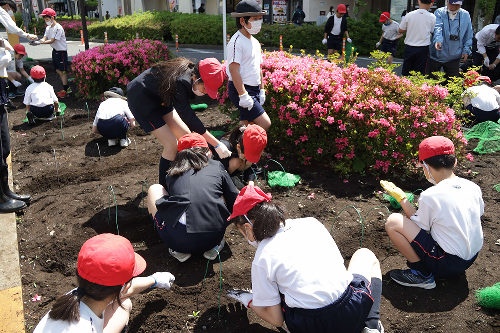 サツキと種を植える児童たち