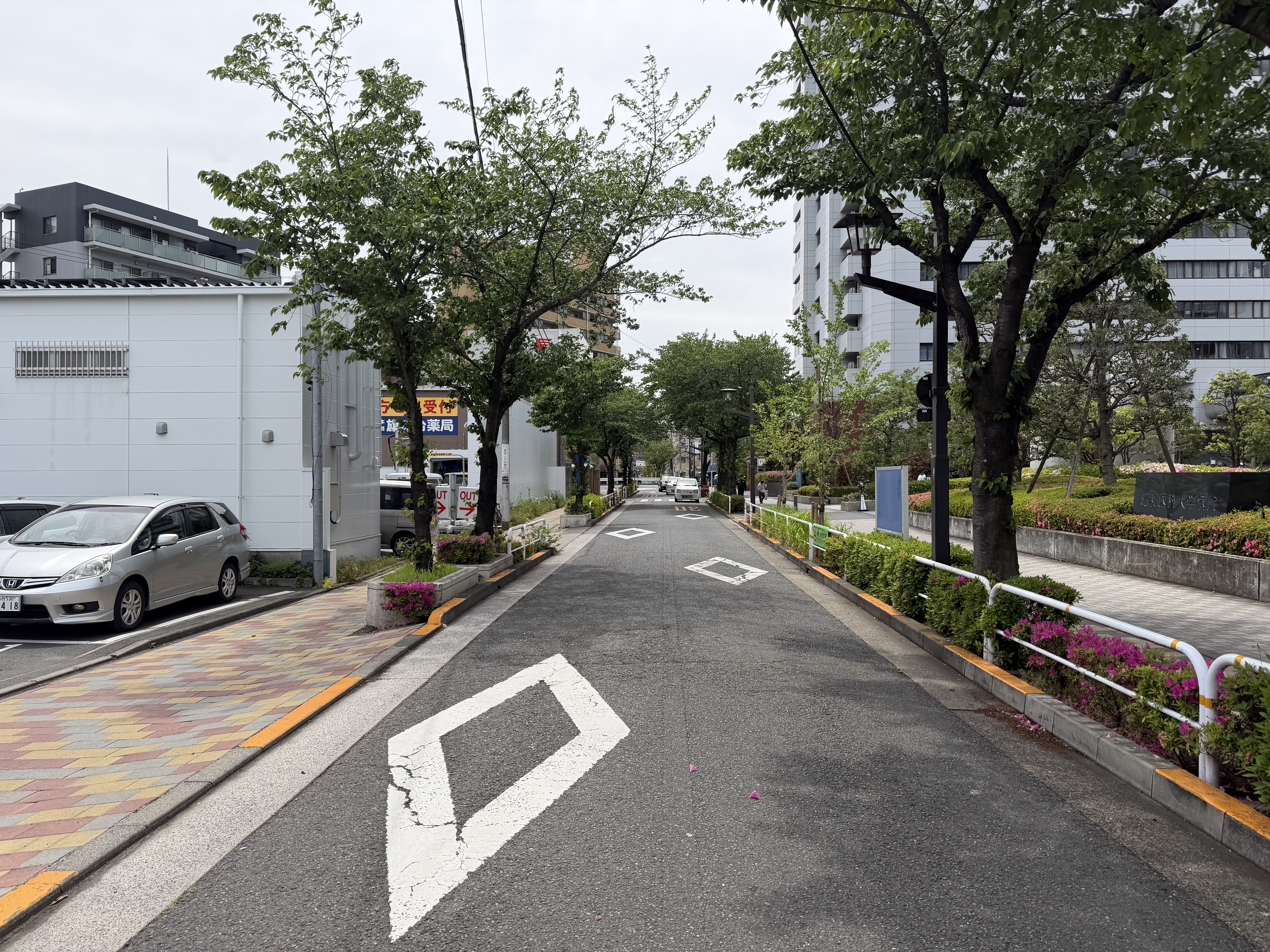 補助第30号線2-4