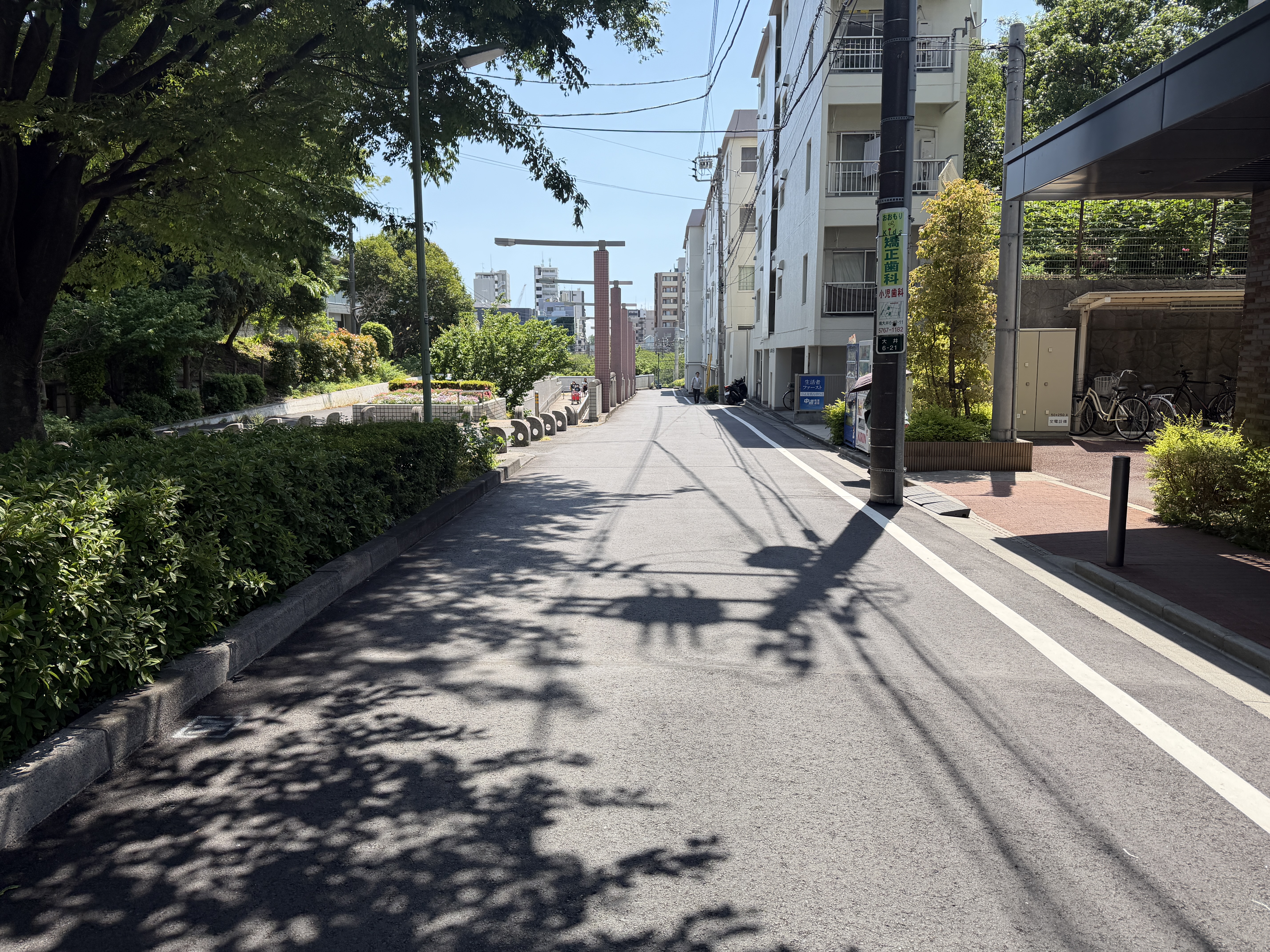 補助第31号線1-3