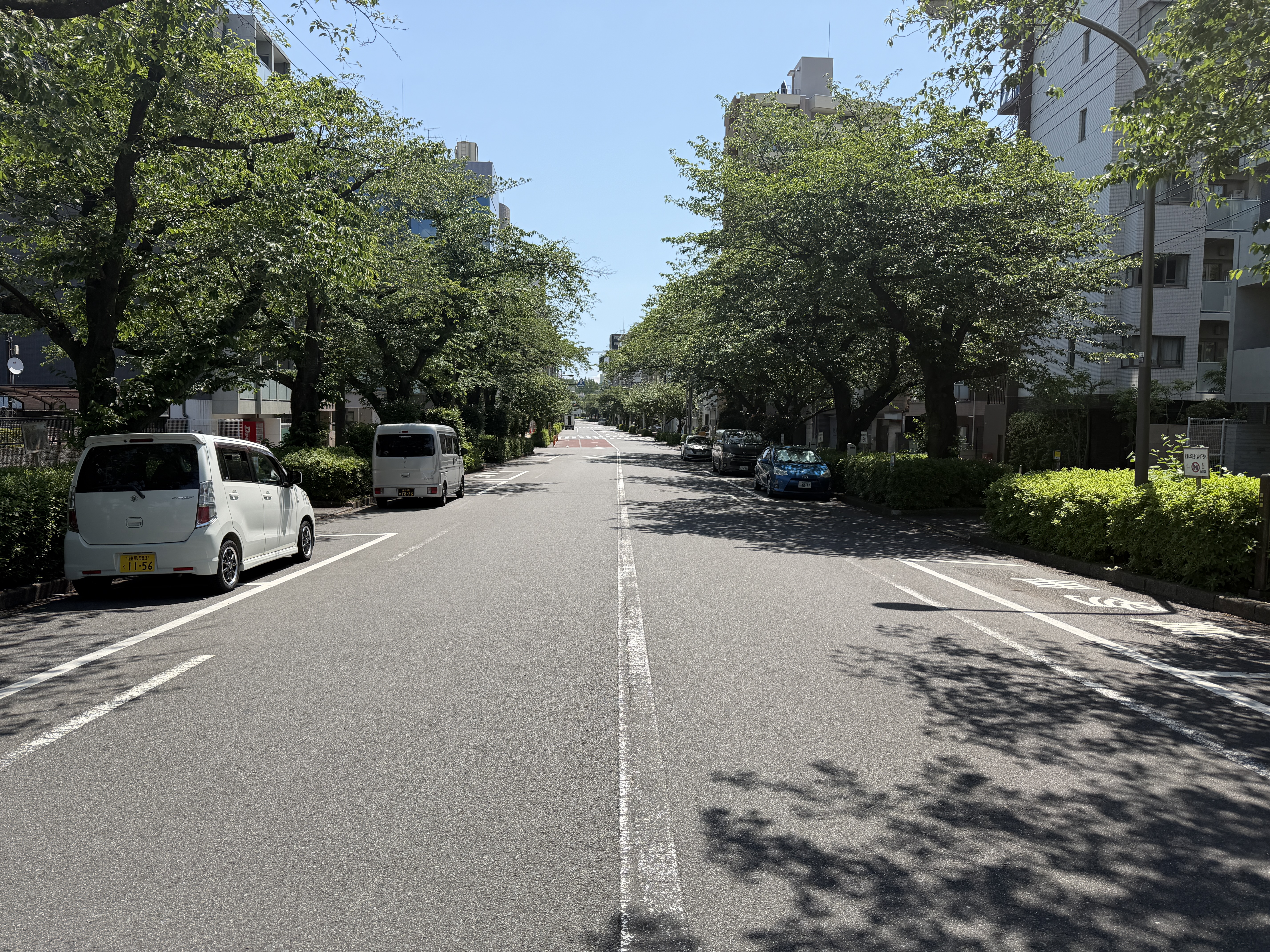 補助第31号線2-1