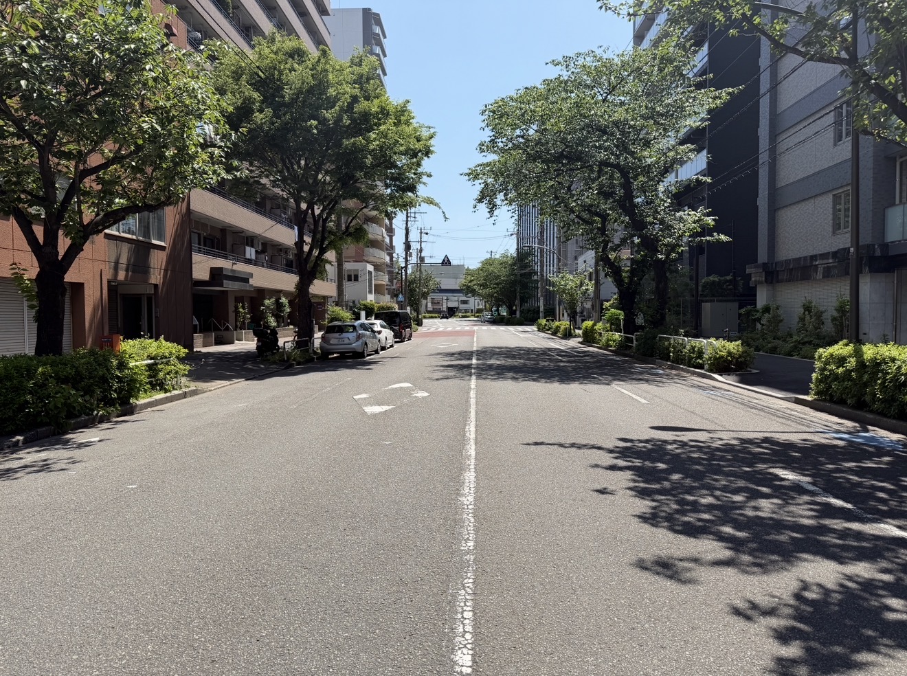 補助第31号線2-1