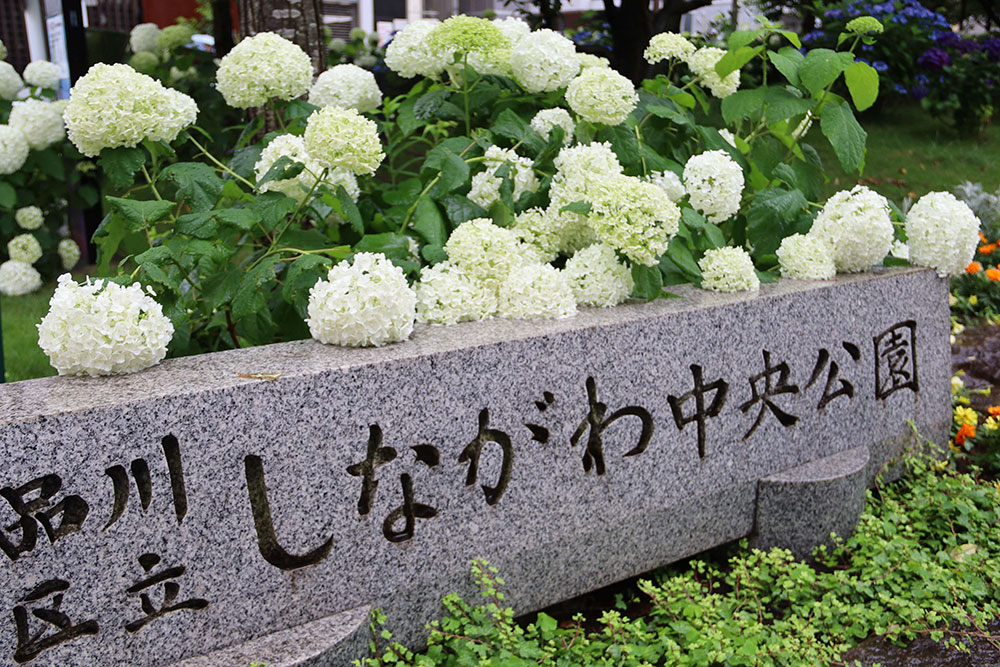 しながわ中央公園入口