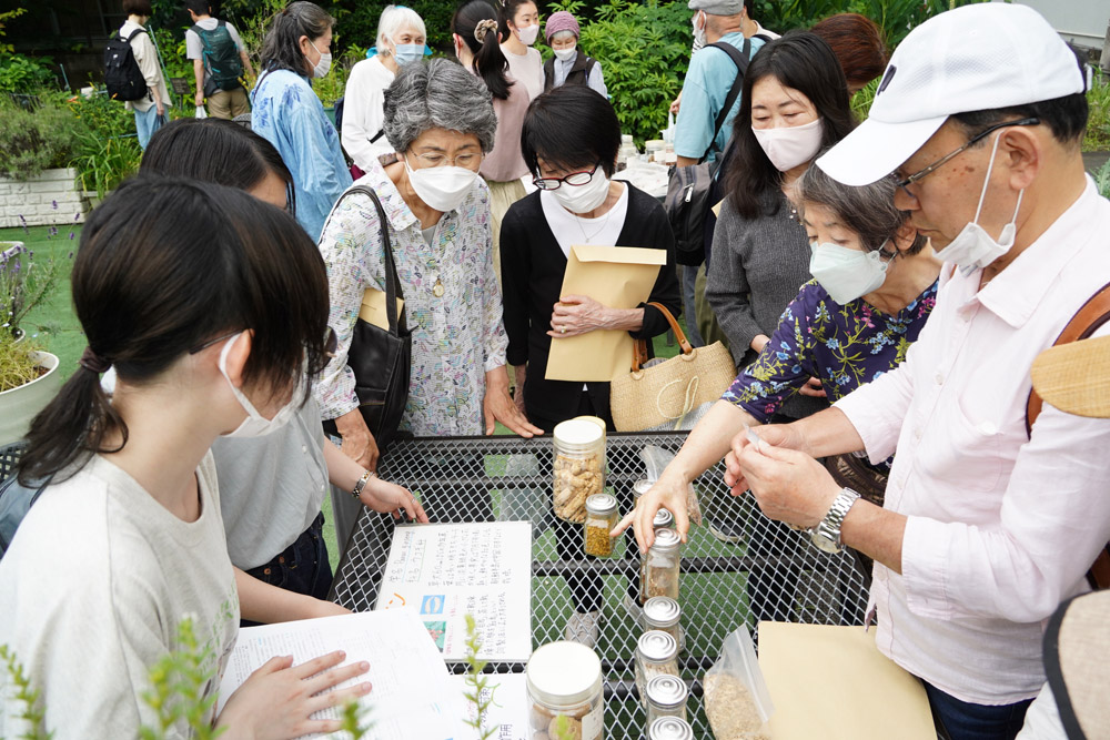 薬用植物解説