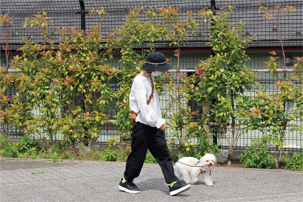 教わった方法で散歩