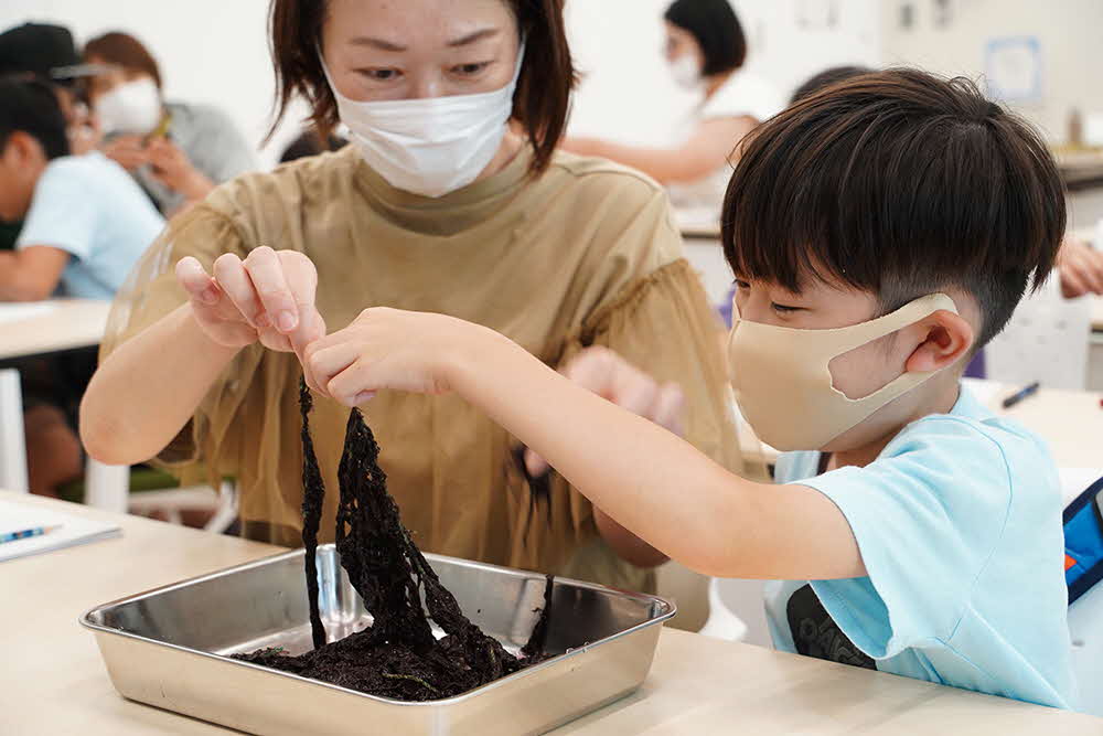 生海苔に触れる