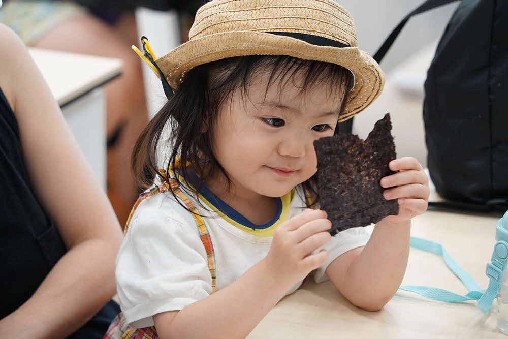 乾海苔を見つめる子ども