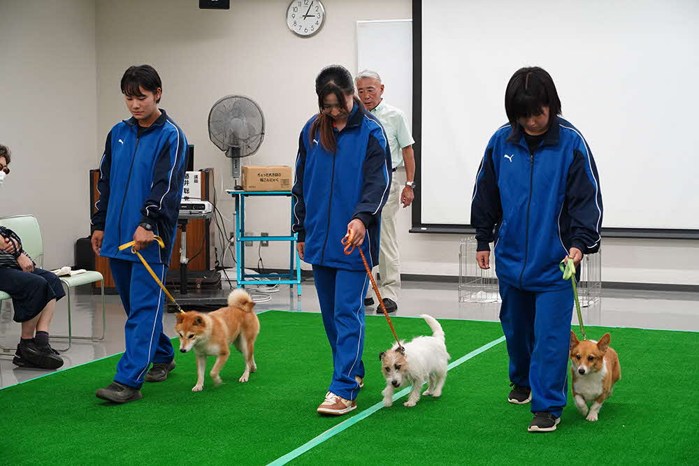 一緒に歩くデモンストレーション