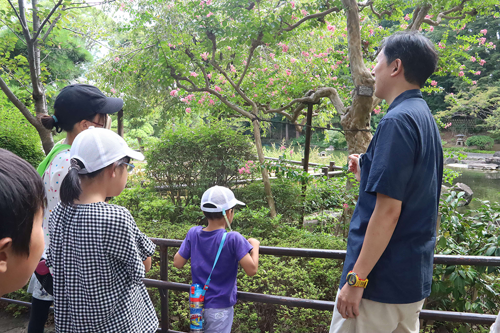 戸越公園で葉っぱ探索