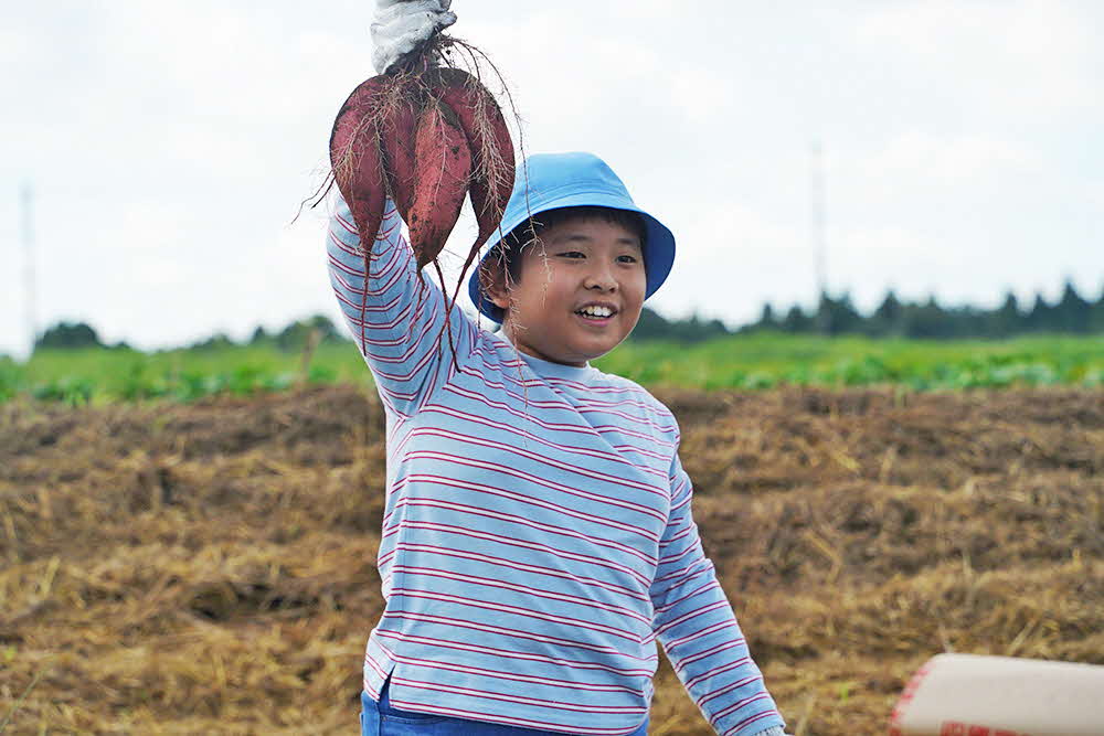 大きな芋を持って笑顔の男の子の画像