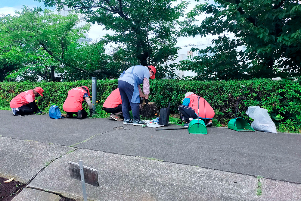 ごみ拾いをする花海道の皆さんの画像